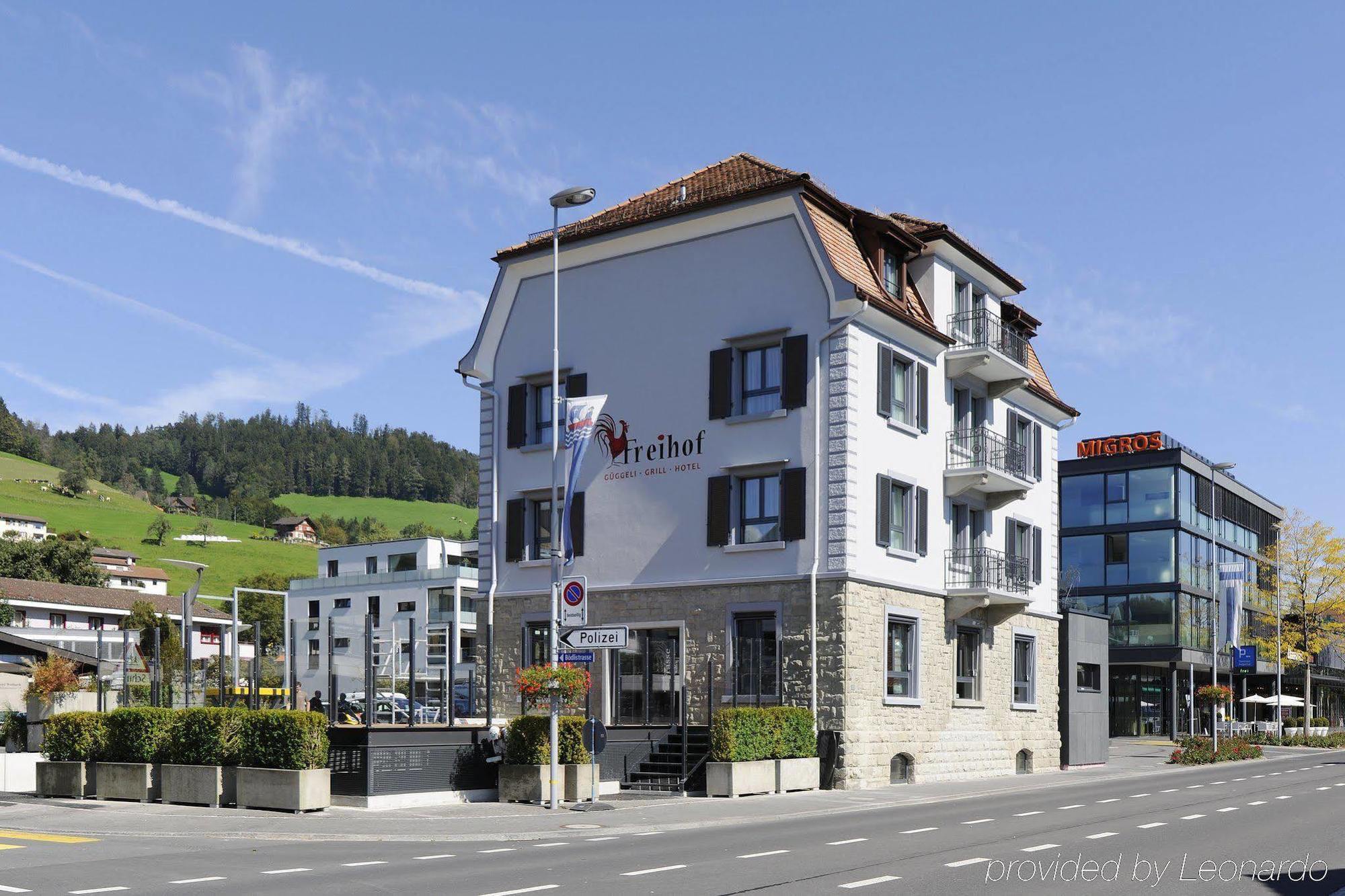 Hotel Freihof Swiss Lodge Unterageri Екстер'єр фото